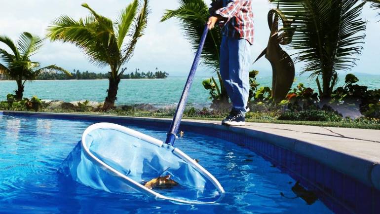 Best Pool Maintenance Services In Boca Raton