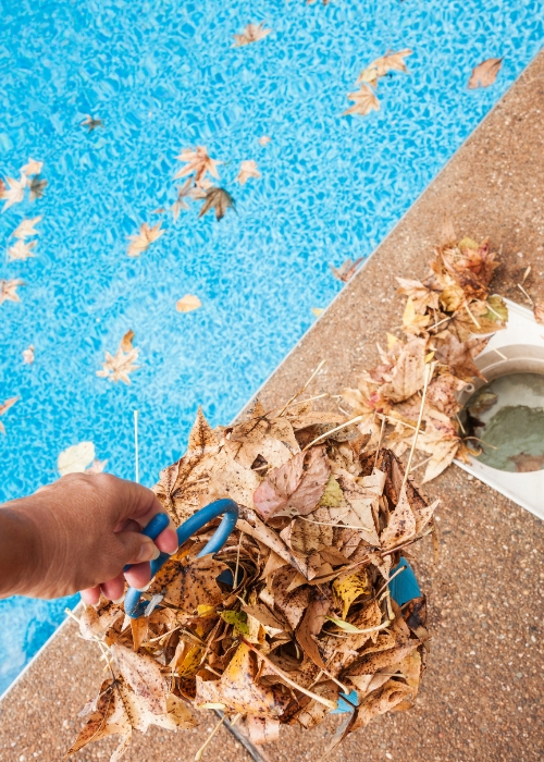 Pool Cleaning